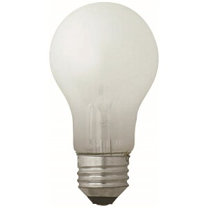 60W�^ ��ʓd�� �y25�Z�b�g�z �������^�� LW100V54W-TM 60W 25�Z�b�g �w���P�� �g�p�d�� ��i����d�� �S���� 100V 54W E26����