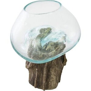 JiÂ܂j KXIuWF TTZ-311 CeA nhCh  KX ChlVA CeAG i` P fUC IuWF z[ANZT[ [fR[V 