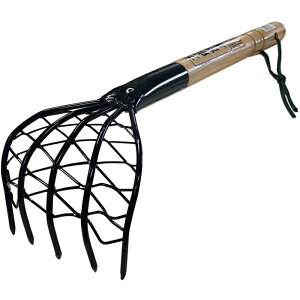 \F A~t 722129 A[NY 4904781666843 \ F A~t y ϋv g₷ @\ ֗ ƌAbv K[fjO | ނ vdl v  RpNg [