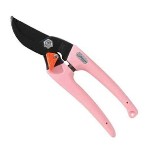 y[ւł̔izfB[X sN T{e 4976365120133 fB[X V[v ؂ꖡ   bN@\ TCY:170mm d:170g