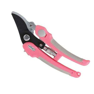 y[ւł̔izyؙ p NO.1371 T{e 4976365137124  yؙ XCh s|XChVXe etH \tgObv XeXXvO