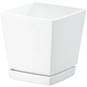 NG`[|bg Mt6 (1.4L zCg) avX`bN 4903266721695 CeA K[fjO v^[ |vs zCg 1.4L ֐ 6 J[oG[V