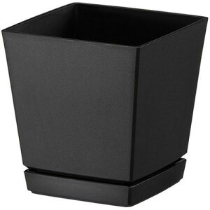 NG`[|bg Mt6 (1.4L-ubN) avX`bN 4903266721725 ChA|bg nCZX ubNJ[ v[gt |vs