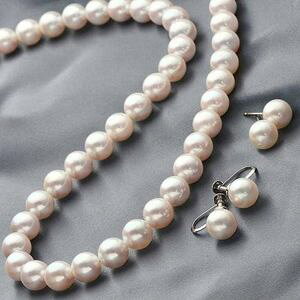 Ԏ{^ ^ 7.5mm ` 8mm p[lbNX p[CO2_Zbg k {^ l ^ p[ ds-65717 p[CO bsOΉ ^ӕʏ 嗱 sN   {