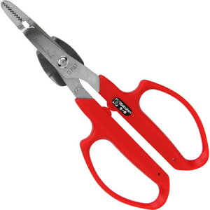  eRt (No.5-B) T{e 4976365500423  MUn XeX \tgnh ȒP