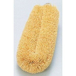 T̎qq zCgEO^V (10) JTW31 Lb` | ֗  Vv g₷ ₷ v zCg ^V O [Yiu ߐ GR Ǝ pi  vd