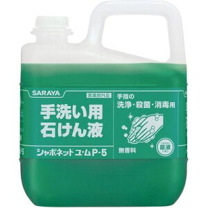 T V{lbgE P-5 5kg XSY9601 A^Cv tgp ΂t @ e