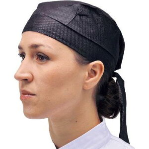 p o_inbg(ĝāE100/BH-01) SBV0501 o_inbg ĝ sDz YȃfUC qI t[TCY 100 BH-01