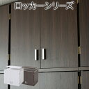 JKプラン ロッカー シリーズ 上置き 棚 ラック 単品 幅60 天井 つっぱり 収納 クローゼット 衣類収納 服 洋服 衣類 天袋 上棚 アイデア 収納術 一人暮らしダークブラウン FRM-3004-DB 一人暮らし ダークブラウン