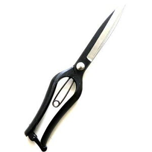 ዷ ő 270mm No SL-10 4980172504611  ؂  { |p ؒf\ nnTCY nJ t  ؂