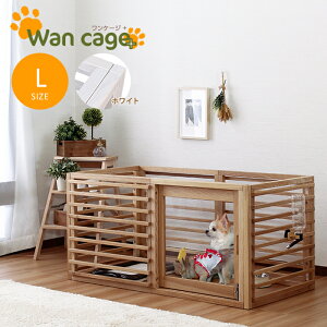 IvV̒ǉłD݂̃TCYɊg\ Wancage+ yP[WvXz (zCgL) X^UCeA ie94014wh IvV g\ TCY P[WvX zCgL