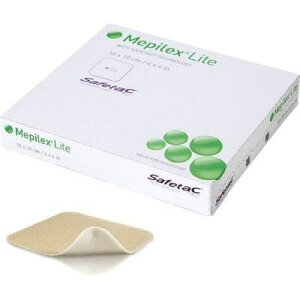 y[ւł̔izsbNXCgTCY:10×10cm bPwXPA 24-5543-01 sbNX np \tgVR |E^tH[ ŋۍ