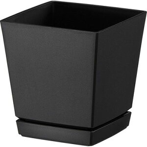 NG`[|bg Mt4 (0.6L ubN) avX`bN 4903266721619 CeA J[oG[V K[fjO v[g ֐ |vs