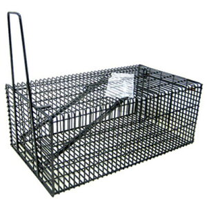 ウルトラ捕獲器(LL) コンパル 4935682030662 捕獲器 大型 扉ロック 取っ手 サビ対策 ブラック 便利 保管 屋外 高耐久