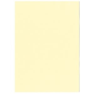 その他 北越コーポレーション 紀州の色上質A4T目 薄口 レモン 1箱(4000枚:500枚×8冊) ds-2126901 インクジェット用紙