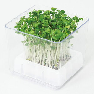 XvEg͔|Lbg JC_CR(čH) A[ebN ATC-102980 }CNO[ ƍ͔| K[fjO VN Lxȉh{f ȒP͔| z[K[f i`Ct O[