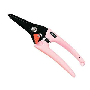 y[ւł̔izfB[XX (sN) T{e 4976365121130 fB[X  X  ~ SbN ؂ꖡ tbf sN