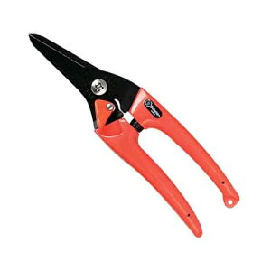 y[ւł̔izfB[XX (IW) T{e 4976365121192 fB[X  ~ ؂ꖡ tbf IW SbN RpNg X