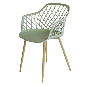 ラタンワールド メッシュPPチェア (AG:ミントグリーン) C1800PAG PPチェア メッシュデザイン ナチュラルインテリア 落ち着き 軽量 カラーバリエーション 美しい曲線 持ち運び便利 ダイニングチ