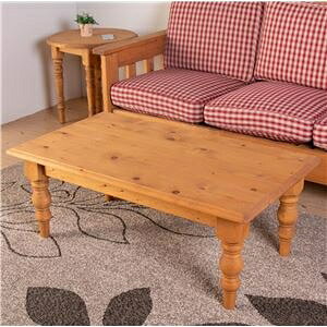 [e[u Z^[e[u 105×s60cm i`uE ؐ ot gi rO _CjO ds-2373625 105 s60 pC {iJg[fUC d VR IC