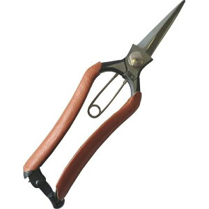 y[ւł̔izSYU n 200mm {̉Ԑ No. ዷ M200_ ؂ ؂KN אn {v\ Yf| ؒfڈ