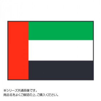 世界の国旗 万国旗 アラブ首長国連邦 120×180cm CMLF-1529116【納期目安：１週間】 その他