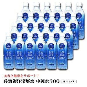 nCm[w d300 500ml dx300 VR  Cm[w ybg{g  k ×24{Zbg l ds-2414605 n ~l ~l⋋ ~lLx Ȑ