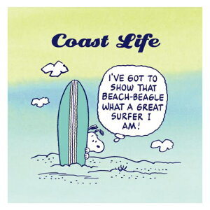 スヌーピー パネルの人気商品 通販 価格比較 価格 Com