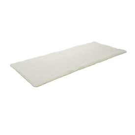 敷きパッド ベッドパッド シングル 約100×200cm 軽量 洗える 体圧分散性 通気性 ファインエアー エアーパッド ベッドルーム ds-2418743