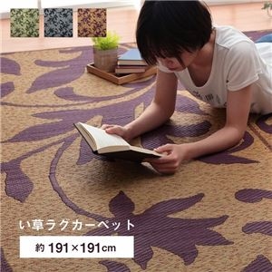 い草ラグ 2畳の人気商品・通販・価格比較 - 価格.com