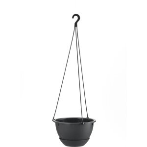 b`F nMO{[ v[ 6 _[NO[(DG) 4945680701372 _[NO[ ݔ y ₷ ݂ tbNt݂R Sdl O\ȃv[g TCY 1.5L |