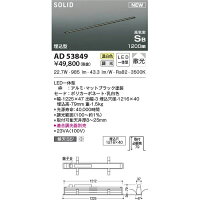 コイズミAD53849