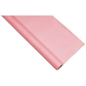 LbY sDz [ 10m  ds-2480432 |GXe |AN[g 0.3mm ǉ