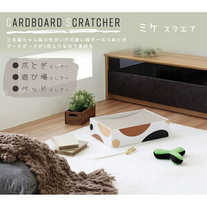 i{[܂Ƃ / 5 (~PXNGA) X^UCeA na95101mx ~PXNGA L ܌  Vv ϋv CeA ybgObY v[g 킢 ʉi ɂ₳