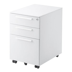 Lrlbg TTvC SNW-106W ސ 3i^Cv tȒP _uXCh[ {\ t ω׏d40kg LX LX^[t