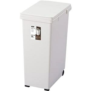 Lb`WCg20 zCg 4974908663895 ʂݔ WCg VvfUC [ Lb` vX`bN g₷ A\  S~