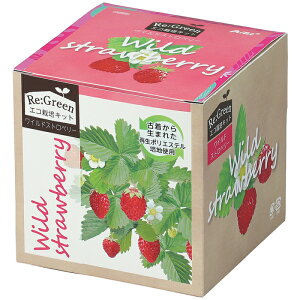 GR͔|Lbg Re:Green ChXgx[ A[ebN ATC-102973 GR͔| Đf |GXe |vs ECO yĂ ÒĐ et |GXe|n {