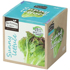 A[ebN GR͔|Lbg Re:Green Tj[^X ATC-102974 GR Đf ͔|Lbg Ò |GXe ECO |vs { yĂ