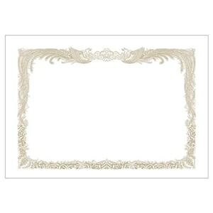 TTK ^J ~j܏p A5^ep 10-1650 1P[X(100) ds-2535103 ܏p ` v^Ή ʂȎvo Cxgp