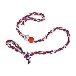 nX|[cv_NV n\bhy(炭) RAKUDA 1 ds-2536367 ؗ͌ Xgb`^ |PbgTCY VR @\ ֗  _