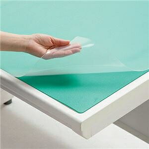 TANOSEEPVCfXN}bg(t^_GXesgp) ΂߃Jbg _u 900×620mm 1Zbg(5) ds-2537163 fXN}bg PVC VO/_u }EXΉ ƌ r̔ RۉH ItBX ƉK