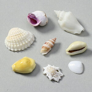 ~bNXVF10g ܓ A[ebN ATC-47582 Lk Ntg ANZT[ IuWF ^JKC 񖇊L ȊL VRf tBs ~bNXVF