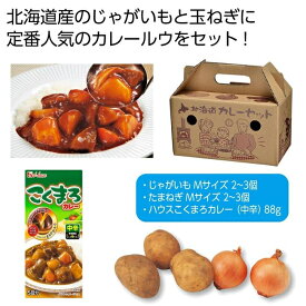 【24個セット】北海道野菜 プレシャスカレーセット 2564430