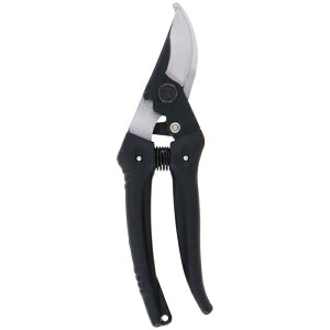 TAKAGI {nt180mm V 4907052710382  ؂ꖡQ dグ \tgObv SXgbp[  ʎ n {