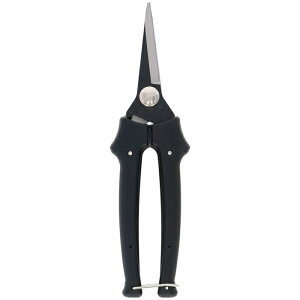 V TKG {nt190mm TKG-2009872 nEl {nt \tgObv SXgbp[ n E | nt 190mm ʎ   K[fjO c[ y ɗD ֗ ϋv 