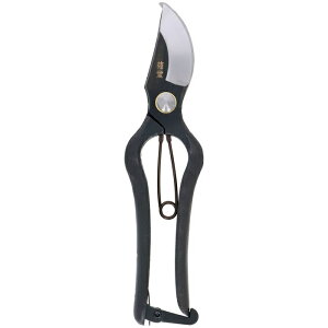 {b200mm e 4907052710986 ϋv s  ȒP vdl g₷  XbL mȐ؂ꖡ v̑I 񂪔ɂ ؂̖ v̋ZpT|