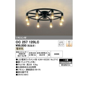 ODELIC VfA OC257120LCy[ڈF1Tԁz Ɩ CeA  OWA[ fUC NVJ  ^J KX P  ze Cxg p[eB[ 蕨 ㎿ GK