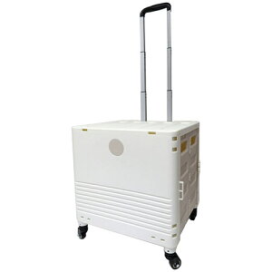 L[Rei LTCY zCg K-247-WHy[ڈF1Tԁz g₷ RpNg ֗ y v S @\ Xgbp[t t^t ˍޕt 38L 60kg 4 [ Ԏ[ PPf