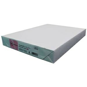 (܂Ƃ) J[y[p[B4  500 A264J-6 y×2Zbgz ds-2554489 J[y[p[ B4 }`J[y[p[ Y  { LxȃoG[V