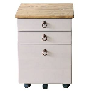 TChS  42cm O[ ؐ ot LX^[t CeAƋ _CjOƋ rOƋ i ds-2555312 42cm